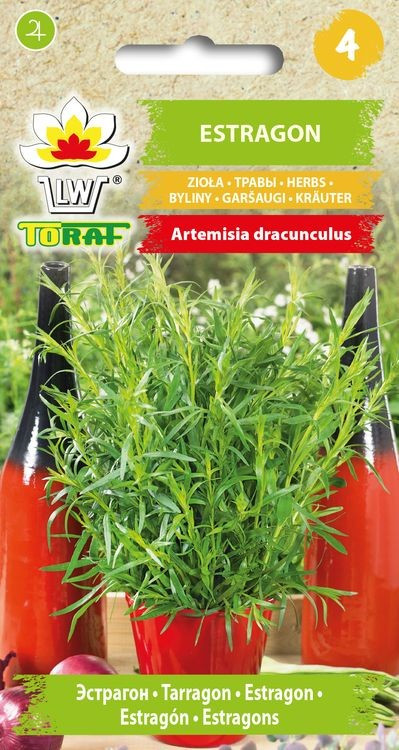 Estragon - Artemisia dracunculu /700 SEMEN/