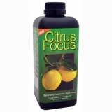 GROWTH TECHNOLOGY Citrus Focus 500ml