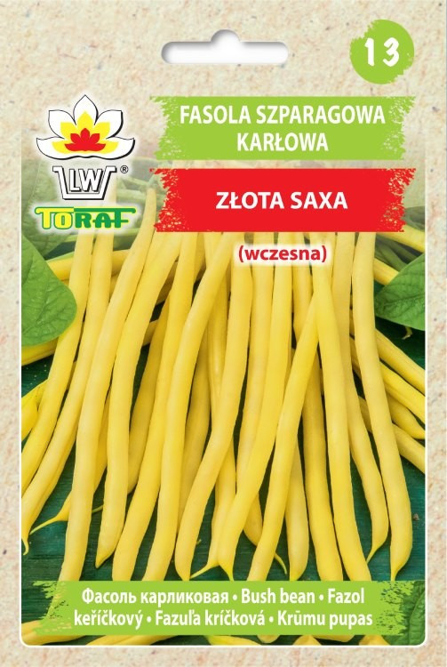 FAZOLE KEŘÍKOVÁ ZLATÁ SAXA /190 SEMEN/