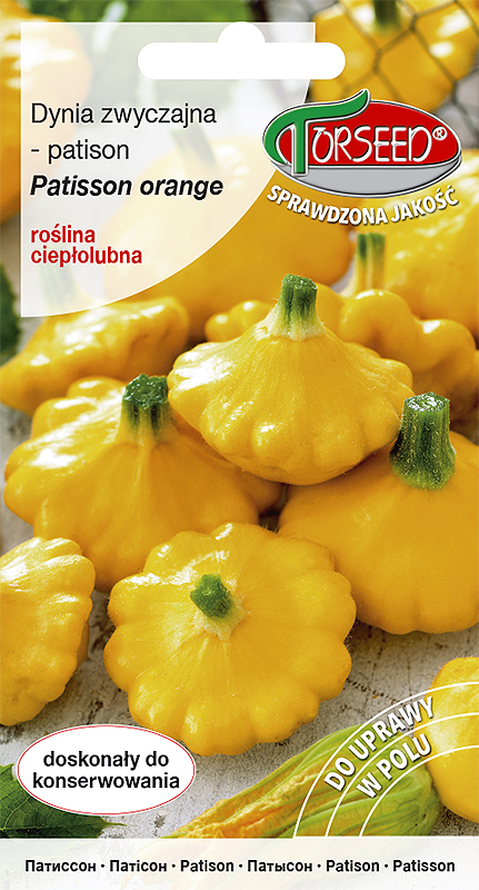 DÝNĚ PATISON ORANGE /8 SEMEN/