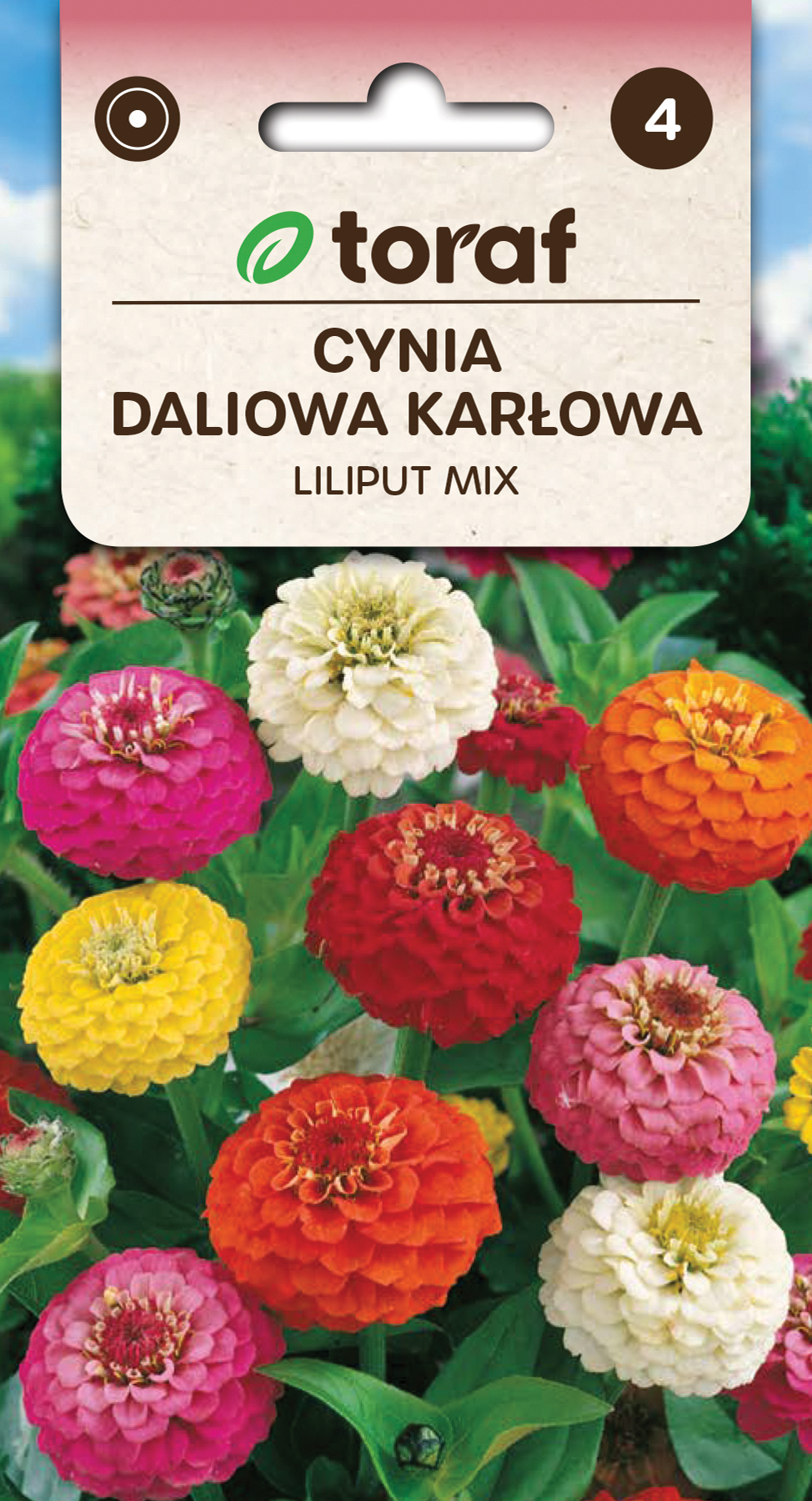 OSTÁLKA JIŘINKOKVĚTÁ LILIPUT BAREVNÝ MIX,Cínie /100 semen/