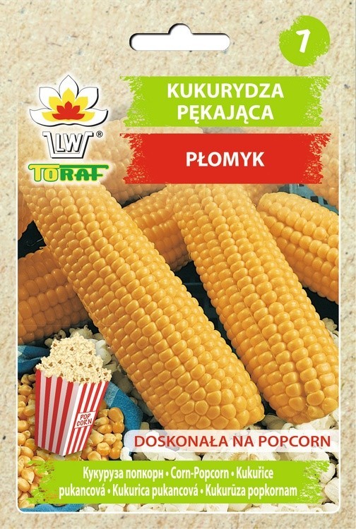 Kukuřice popcorn přírodní chuť bez chemie /85 semen/