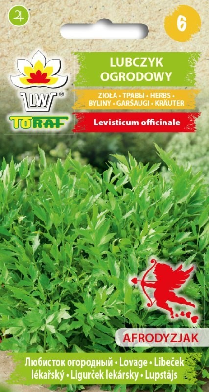 Libeček lékařský -Levisticum officinalis /250 SEMEN/