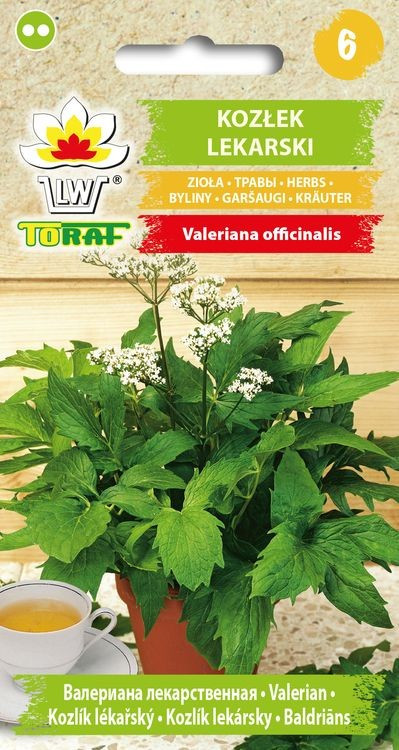 Kozlík lékařský - Valeriana officinalis /250 SEMEN/
