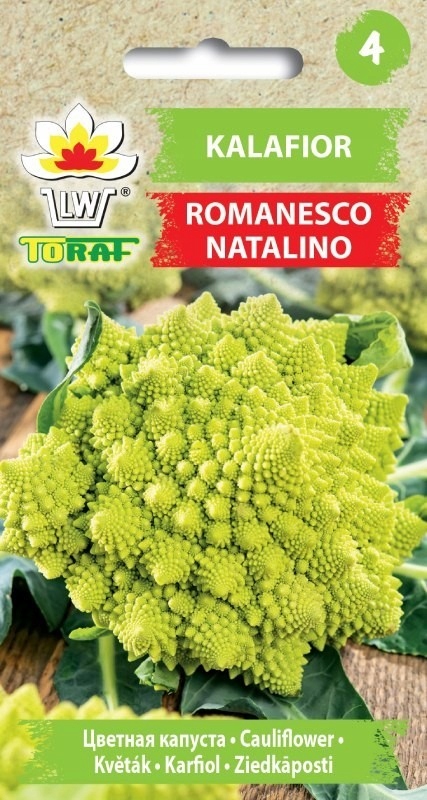 KARFIOL ROMANESCO NATALINO /200 SEMEN/